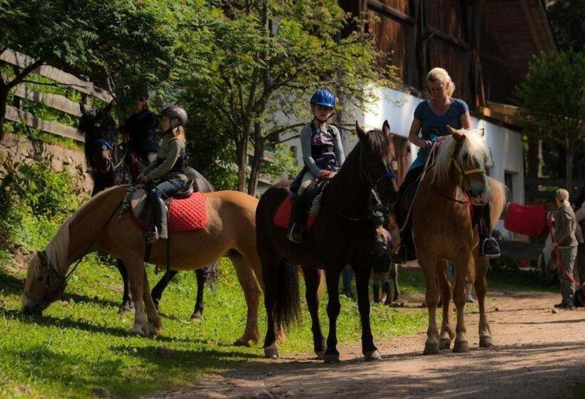 هتل Reiterhof Edelweiss