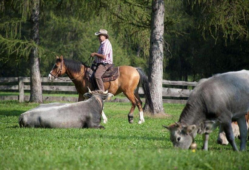 هتل Reiterhof Edelweiss