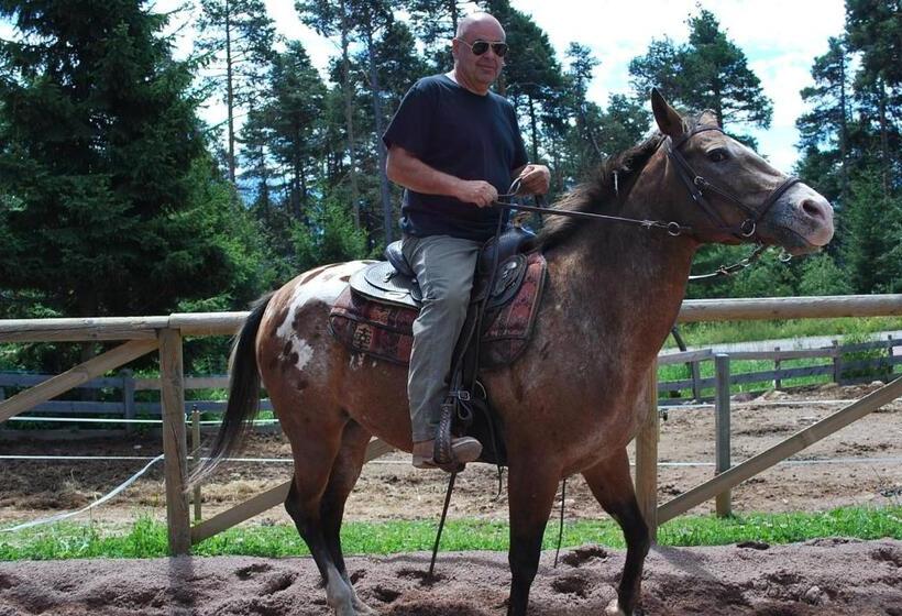 هتل Reiterhof Edelweiss