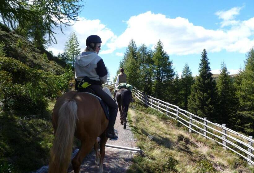 هتل Reiterhof Edelweiss