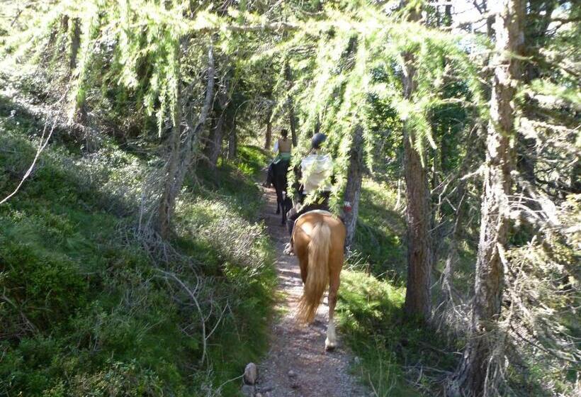 هتل Reiterhof Edelweiss