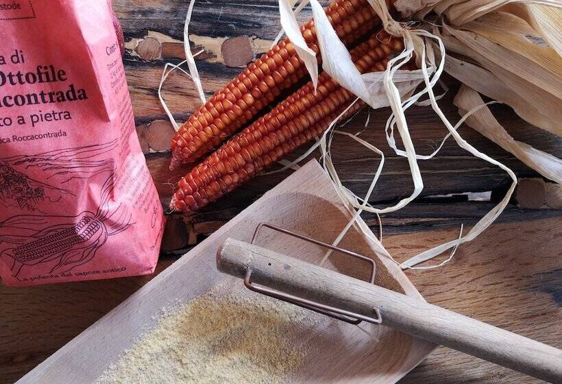 فندق Tenuta San Marcello