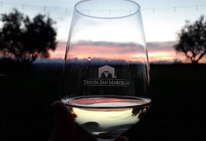 فندق Tenuta San Marcello