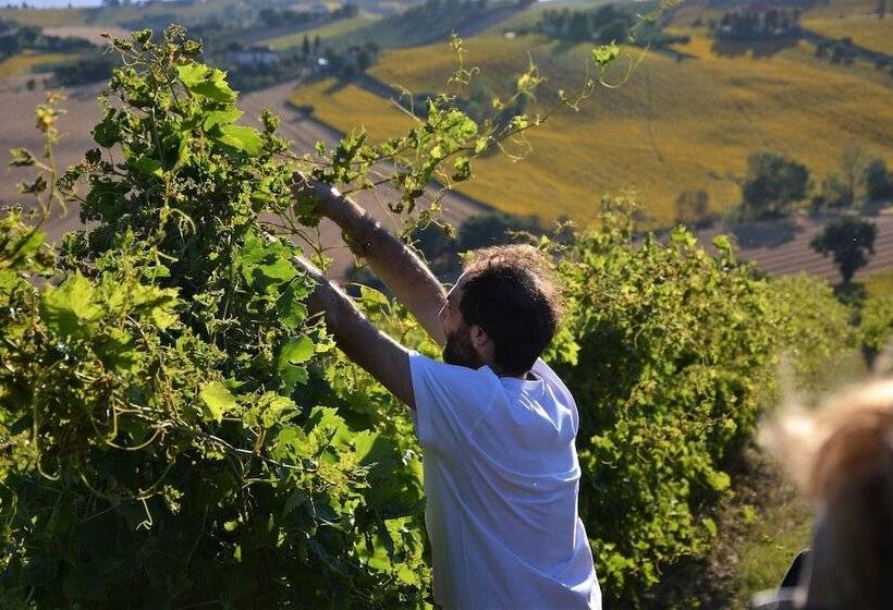 فندق Tenuta San Marcello