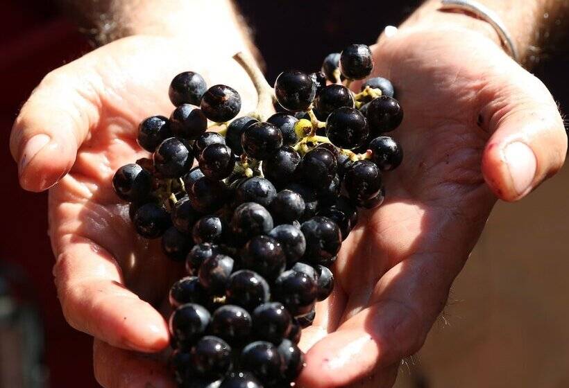 فندق Tenuta San Marcello