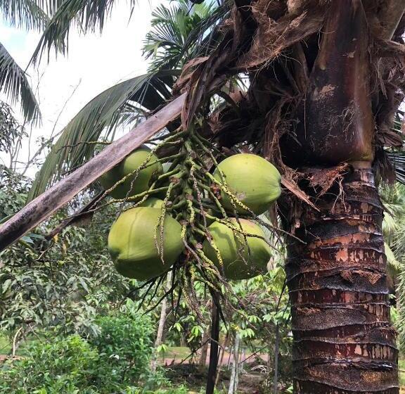 بنسيون Green Happy Homestay