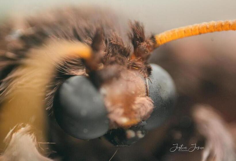 پانسیون Hostal Casa Blanca