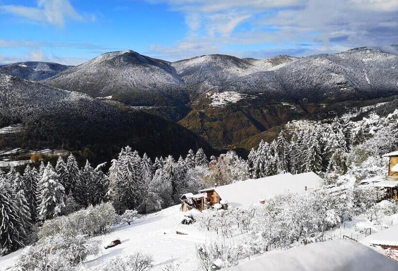 بنسيون Maso Sveseri