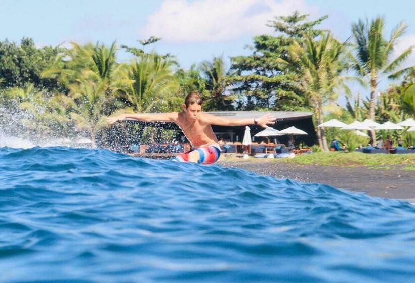 פנסיון Padi Guest House