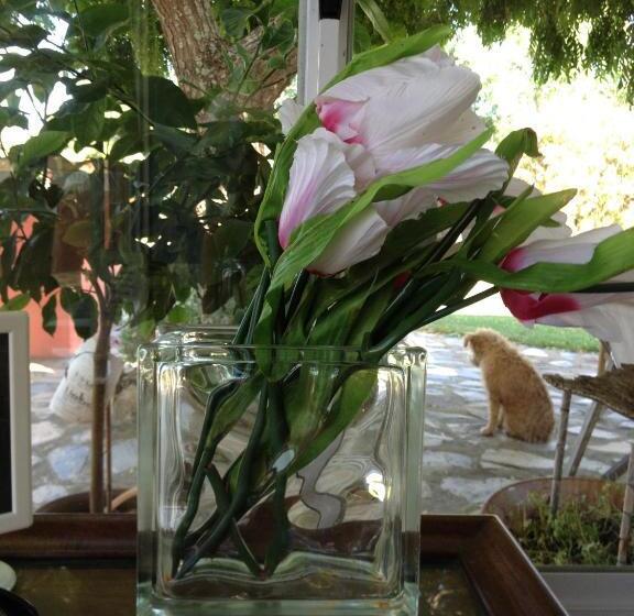 بنسيون Verdemar