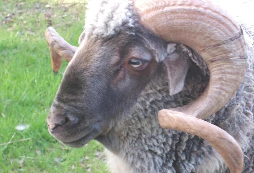 Пансион Verdemar