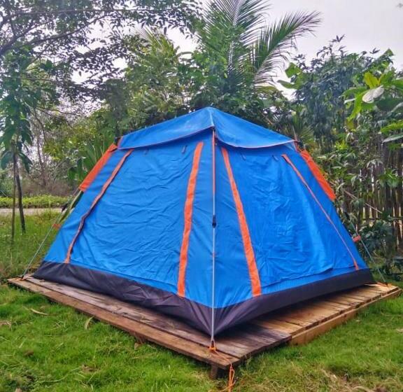 ペンション Young Wild And Free