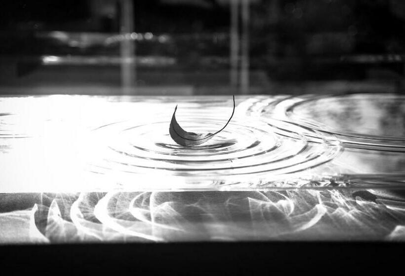 ریوکان Hotorinite