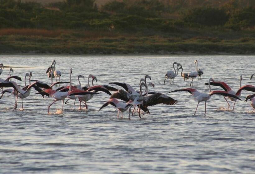 Albergo Residenziale Menhirs