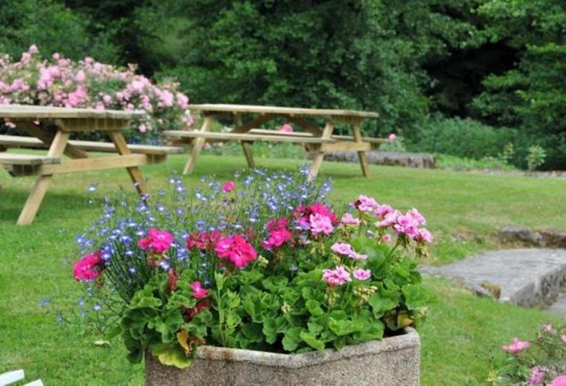 فندق صغير Auberge De La Cholotte