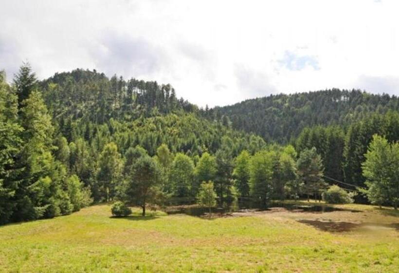 הוסטל Auberge De La Cholotte