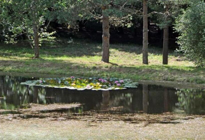 הוסטל Auberge De La Cholotte