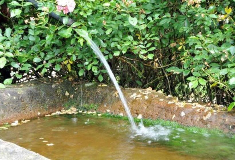 فندق صغير Auberge De La Cholotte