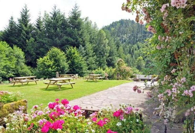 הוסטל Auberge De La Cholotte