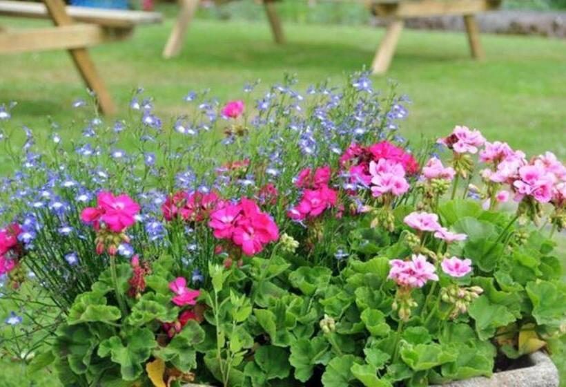 הוסטל Auberge De La Cholotte