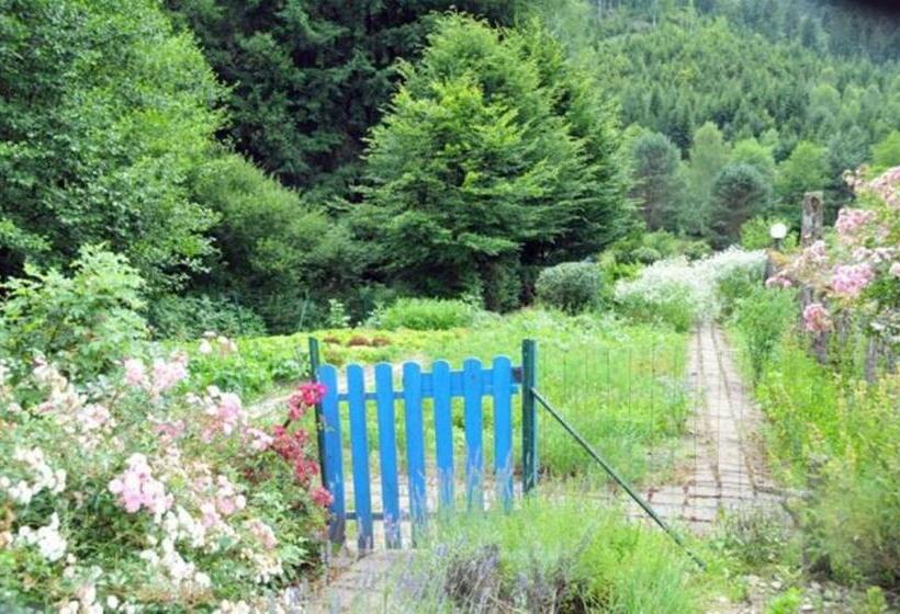 הוסטל Auberge De La Cholotte