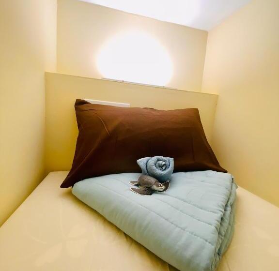 هاستل Hide And Sea At Green Island