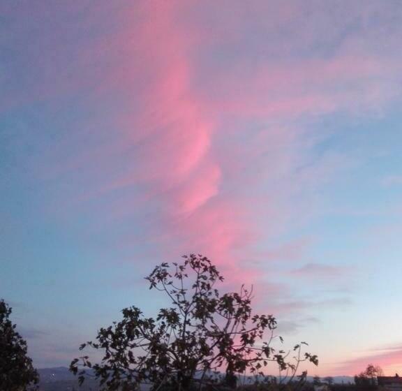 住宿加早餐  A Casa Di Anna