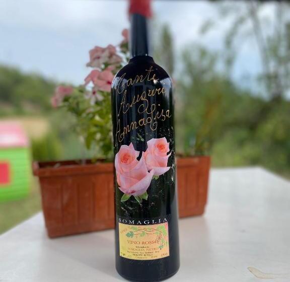 住宿加早餐  A Casa Di Anna