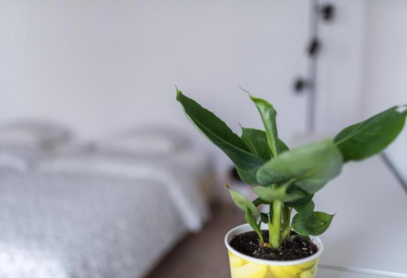 צימר Casa Botár Vendégház