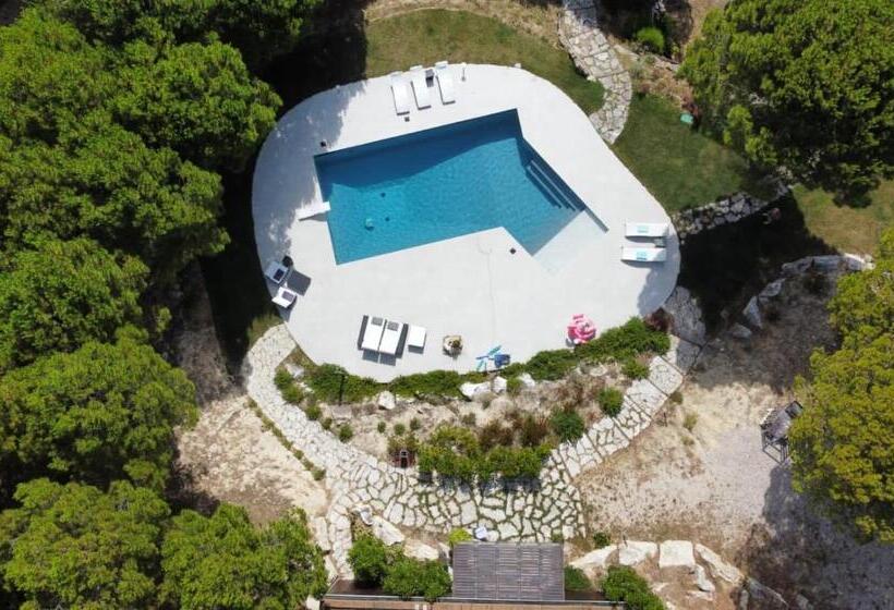 مبيت وإفطار Greenvalley Bnb