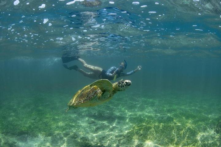 ベッドアンドブレックファースト The Ocean Villa