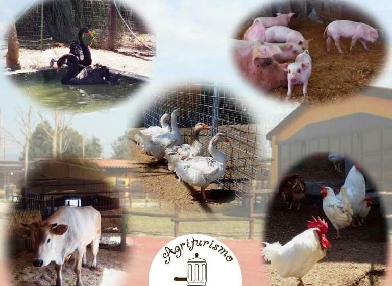 فندق Agriturismo La Caffettiera