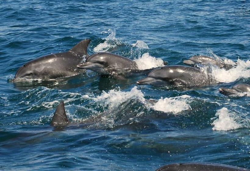 בית מלון כפרי Amakusa Onsen  Shikisakikan