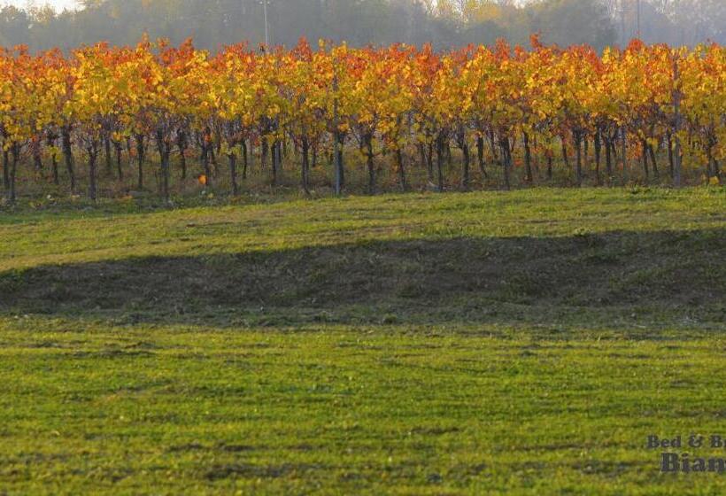 酒店 B&b Bianchin Via Trieste 67 Fiumicello Villa Vicentina