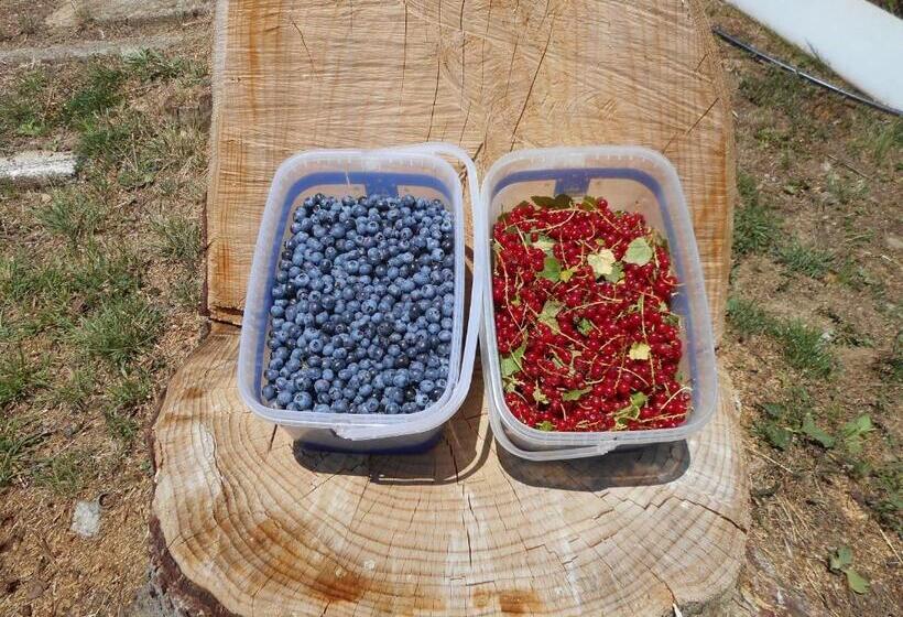 Отель Cuccaro Club   Val Di Vara E Cinque Terre