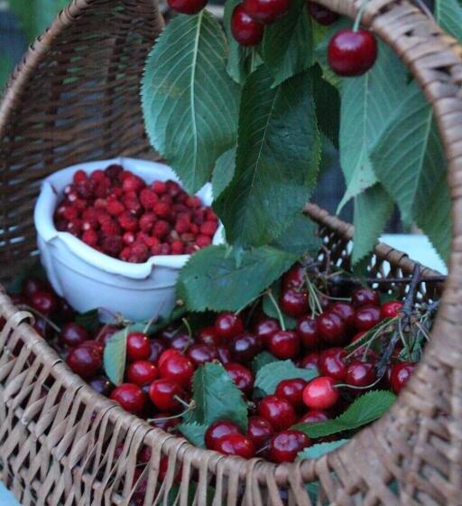 Отель Cuccaro Club   Val Di Vara E Cinque Terre