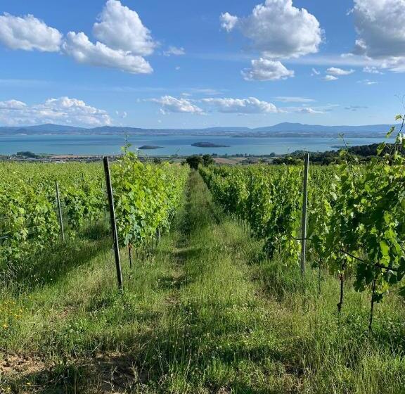 בית מלון כפרי Di Colle In Colle   Agriturismo