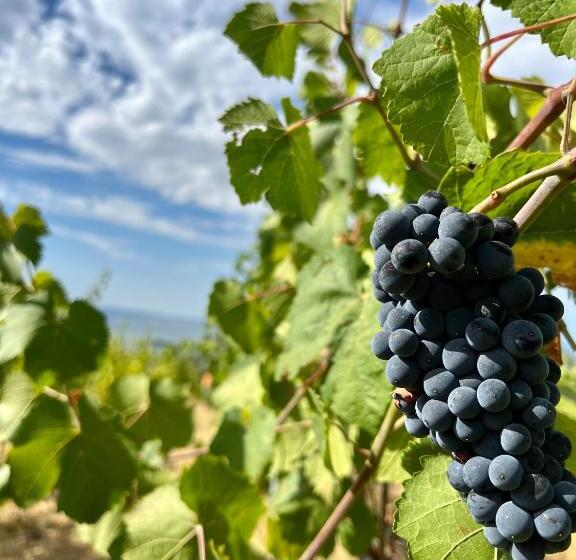 בית מלון כפרי Di Colle In Colle   Agriturismo