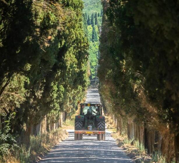 בית מלון כפרי Di Colle In Colle   Agriturismo