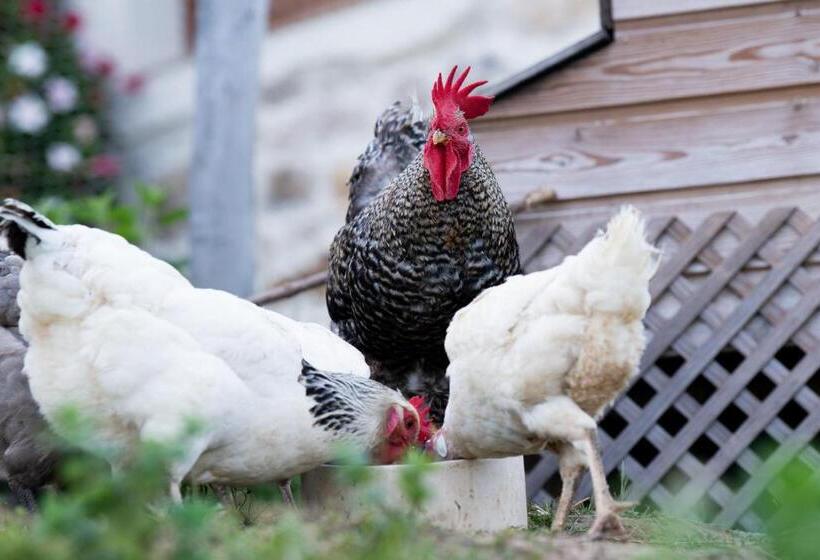 בית מלון כפרי Ecogranja Sierra Hermosa