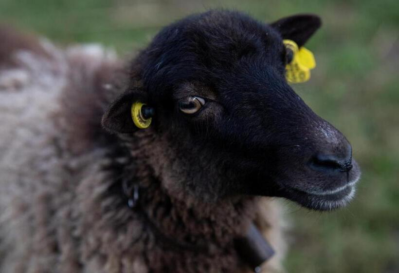 בית מלון כפרי Ecogranja Sierra Hermosa