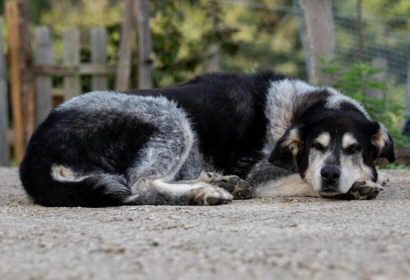 בית מלון כפרי Ecogranja Sierra Hermosa