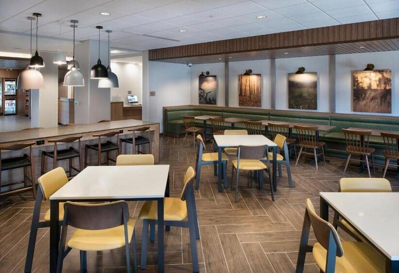 בית מלון כפרי Fairfield By Marriott Inn & Suites Memphis Arlington