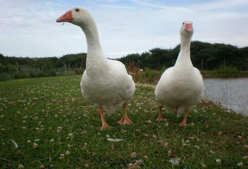 ホテル Jurassic Loft Apartment