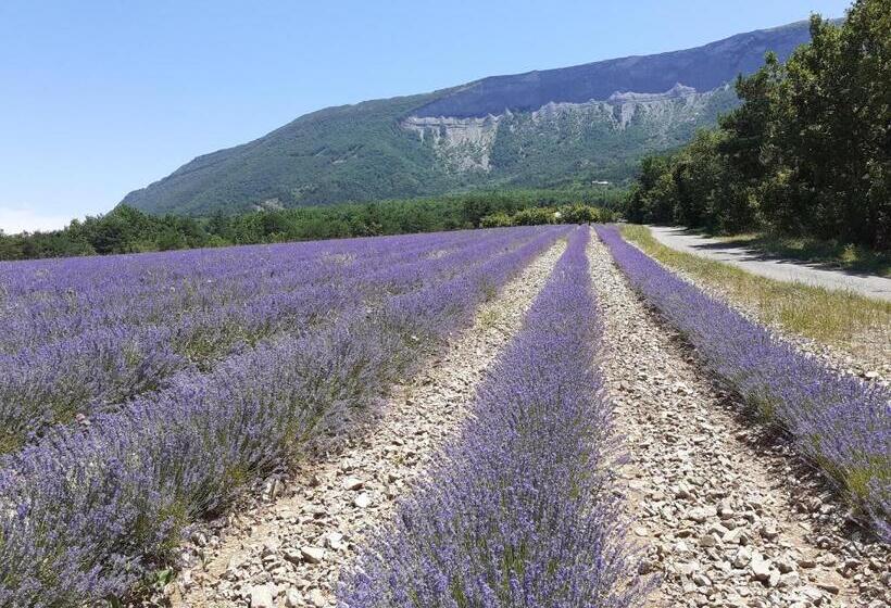 בית מלון כפרי Rose Des Alpes