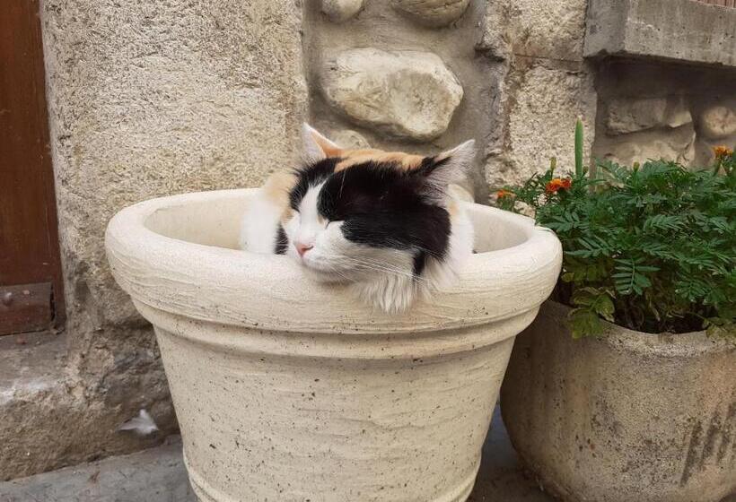 בית מלון כפרי Rose Des Alpes