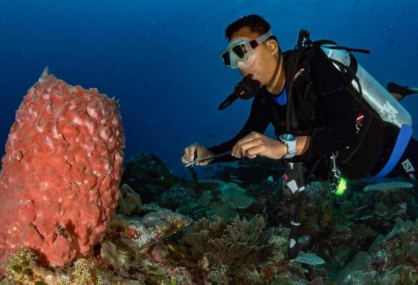 Marind Dive Eco Resort