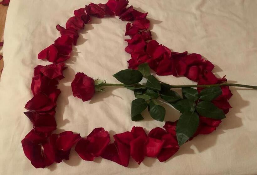 بنسيون Casa Rania