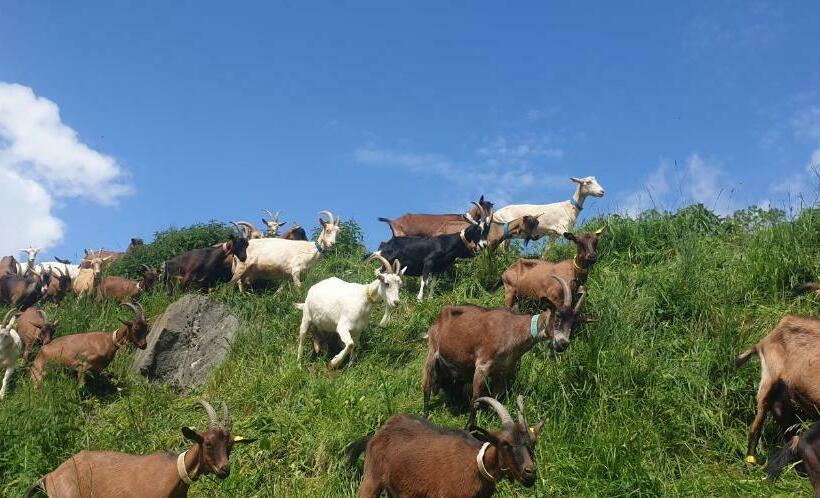 بنسيون Chambre D Hôtes à La Ferme