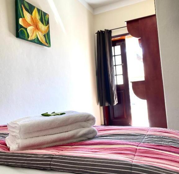 膳宿费 Chão Mineiro